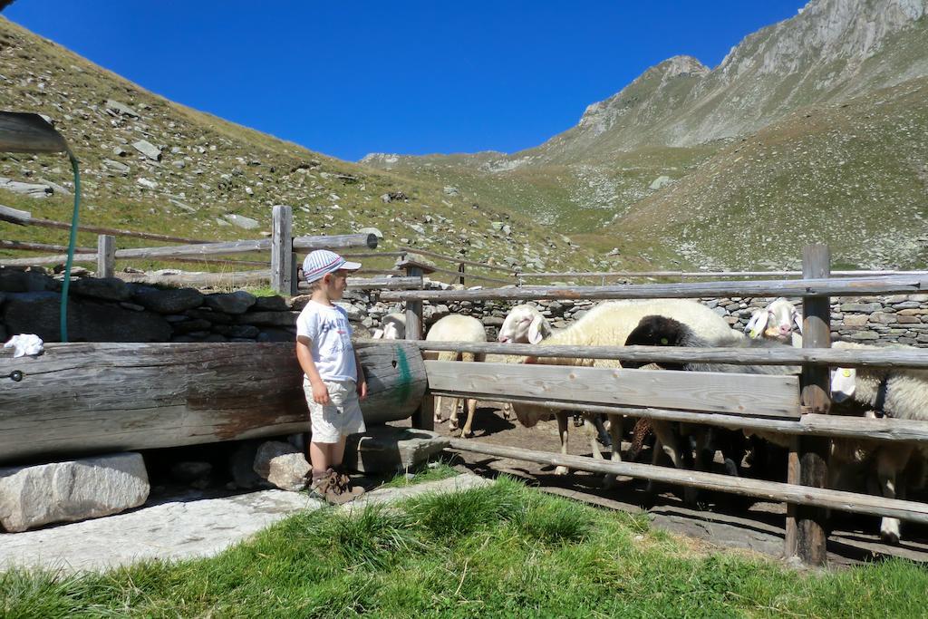 Reden Hof Villa Selva dei Molini Luaran gambar